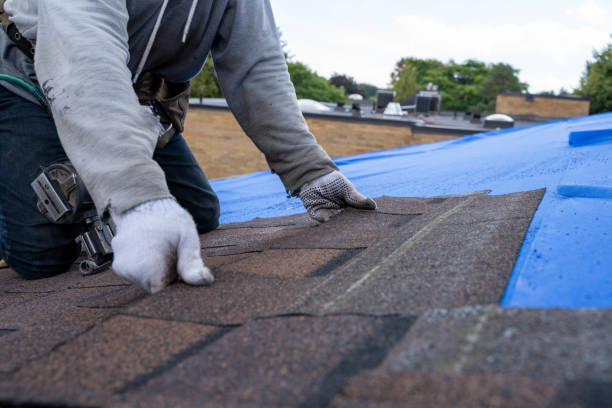 Roof Gutter Cleaning in La Junta, CO