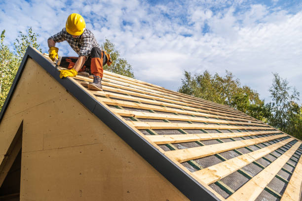 Best Roof Gutter Cleaning  in La Junta, CO
